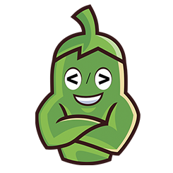 Spicydevs Icon